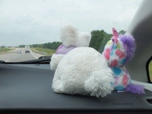 The car bunny and the unicorn my friend gave me. They make a lovely couple.